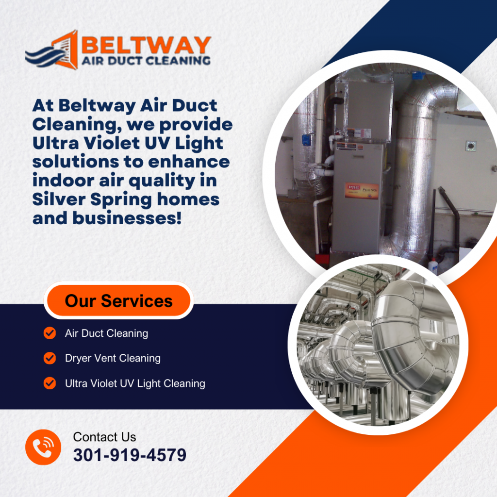 Can Ultraviolet Light Make Your Silver Spring Home’s Air Healthier?